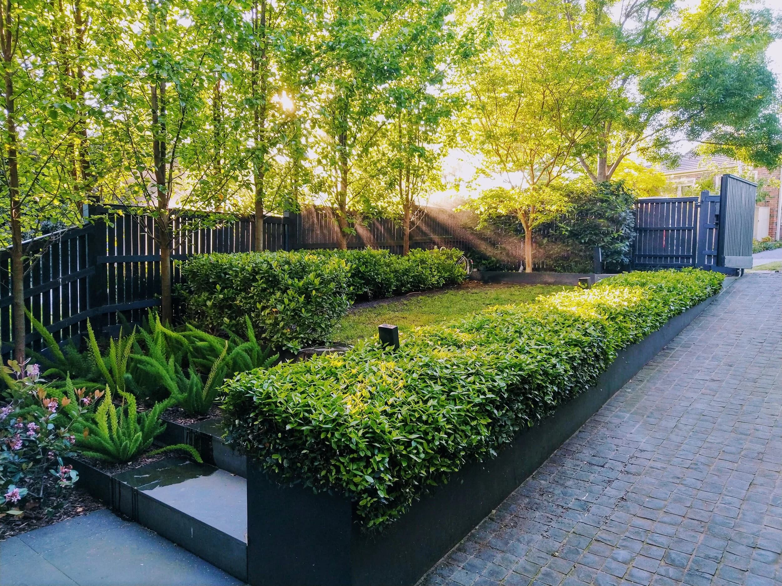Beautiful maintained garden
